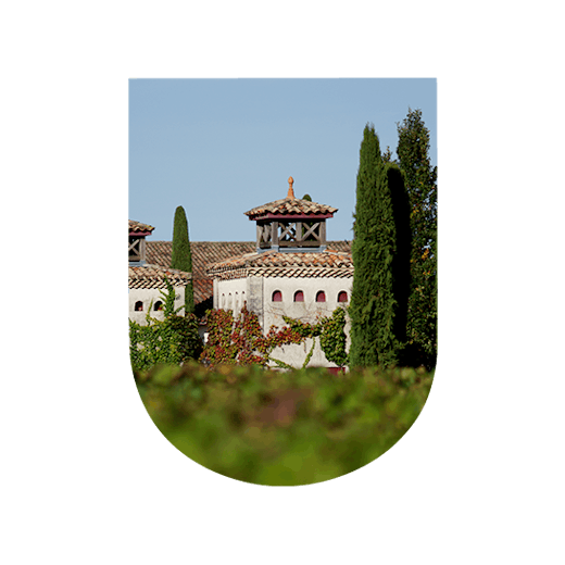 Pessac Léognan: elegance and freshness wines
